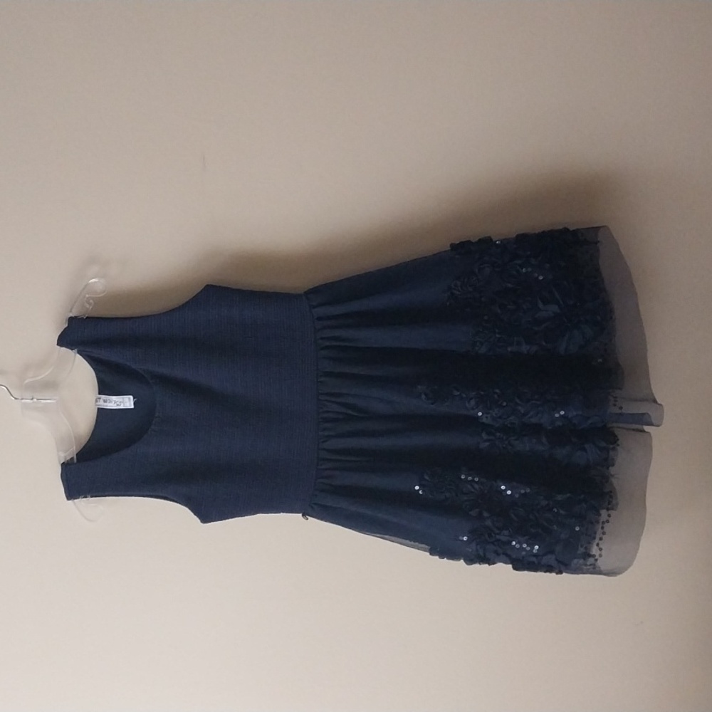 Navy Blue Designer Embellished Dress